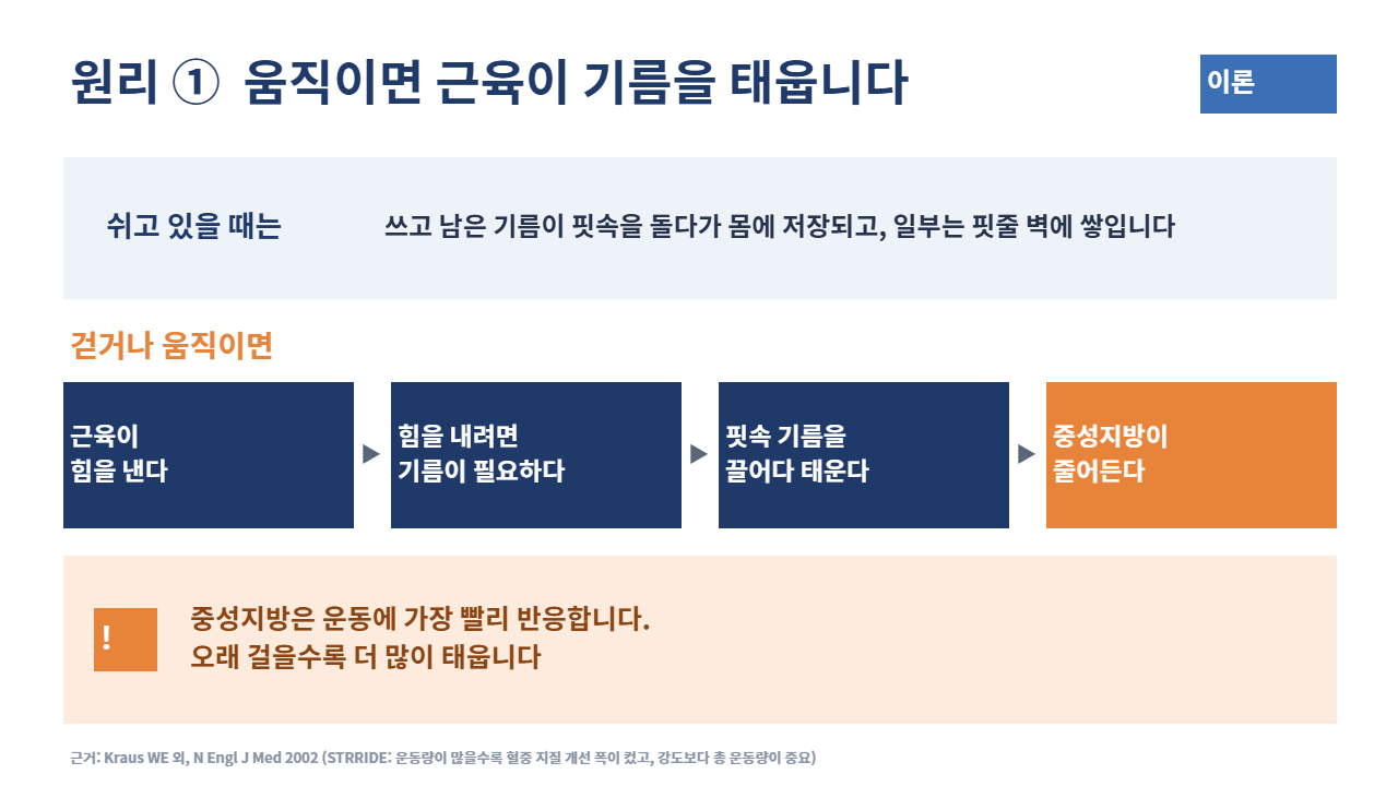 슬라이드 4