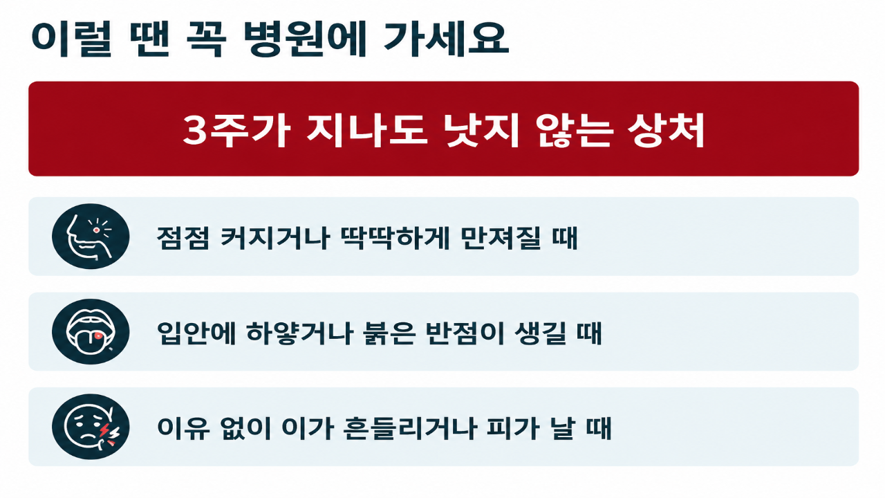 슬라이드 11