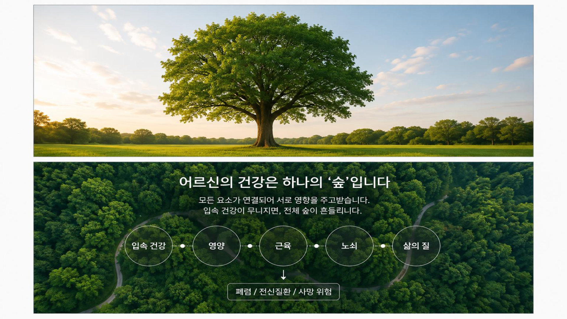 페이지 20